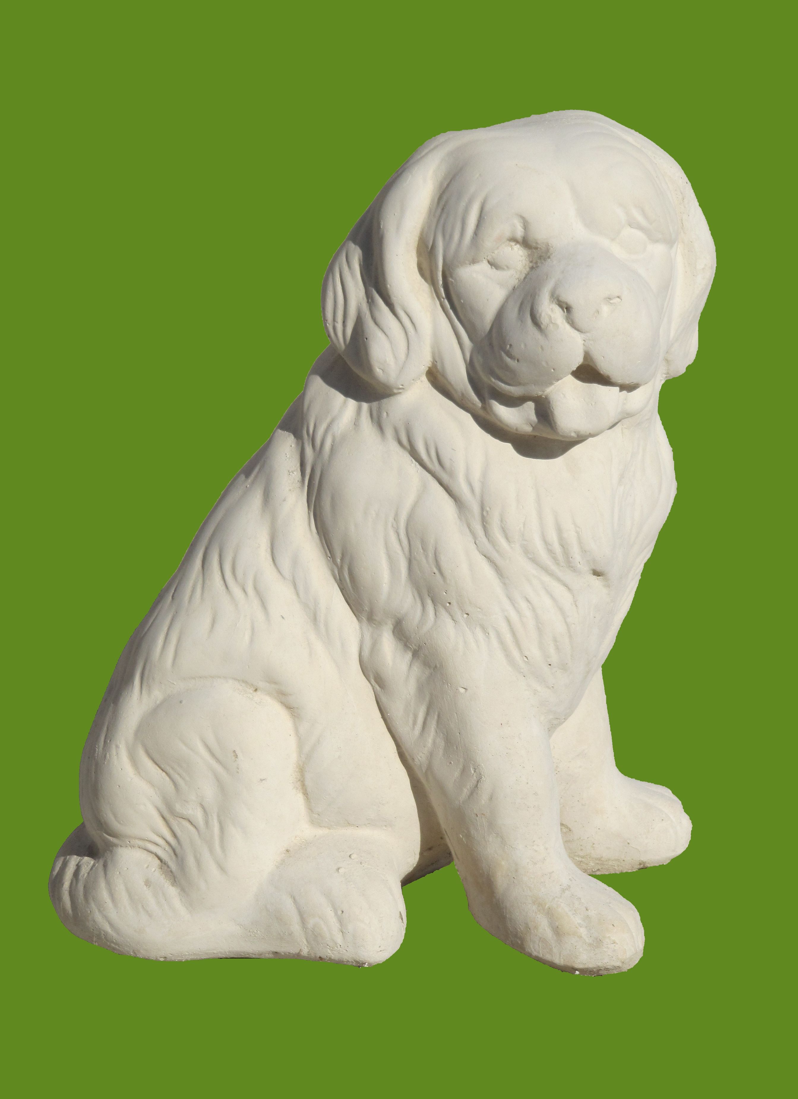 cane polpet.jpg