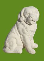 cane polpet.jpg