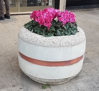20171208_161450.jpg