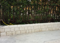 20160407_7095614.jpg